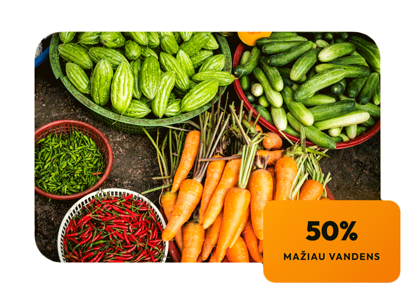 Lašelinis laistymas